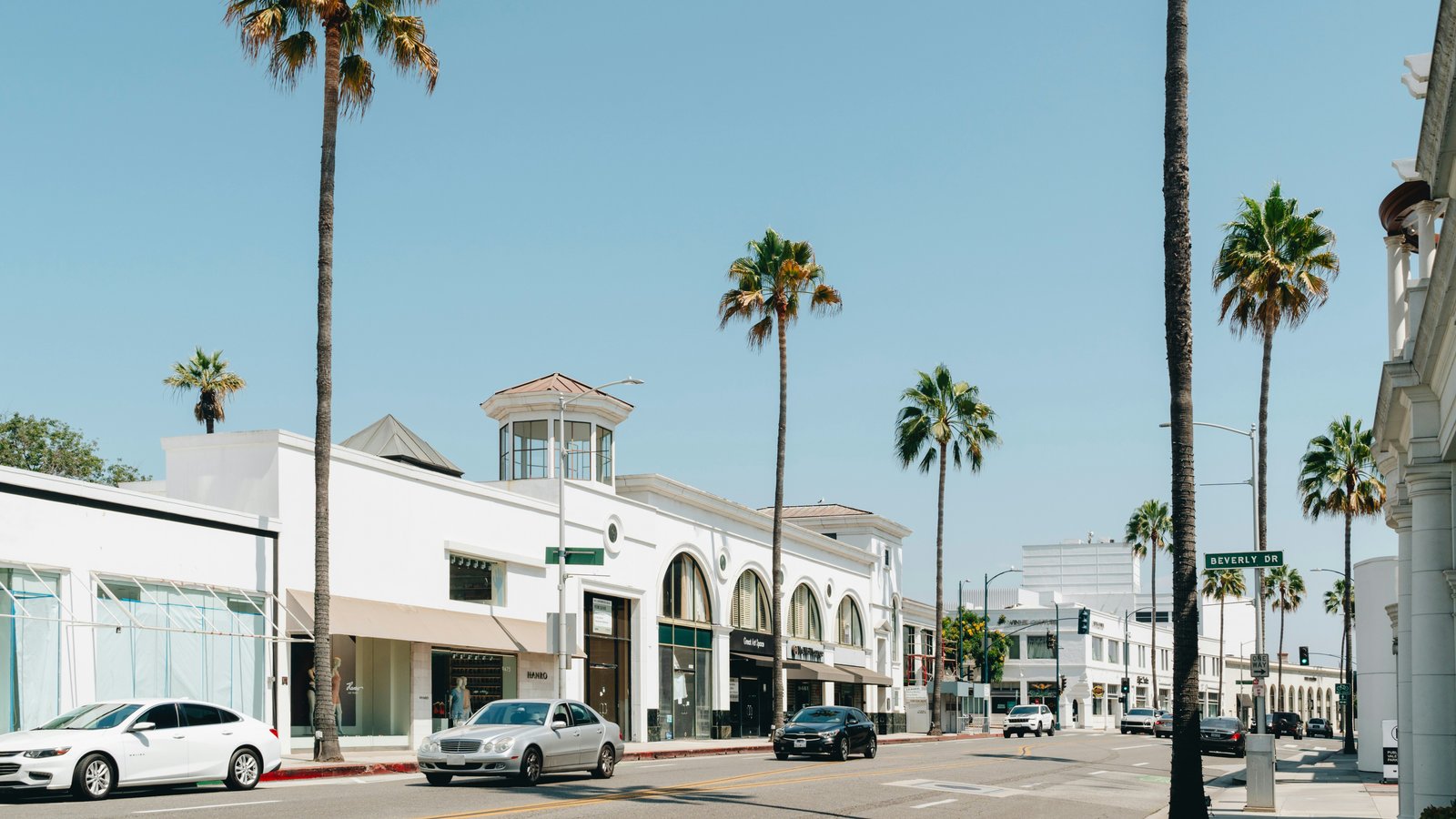 Palm trees in Beverly Hills residential neighborhood